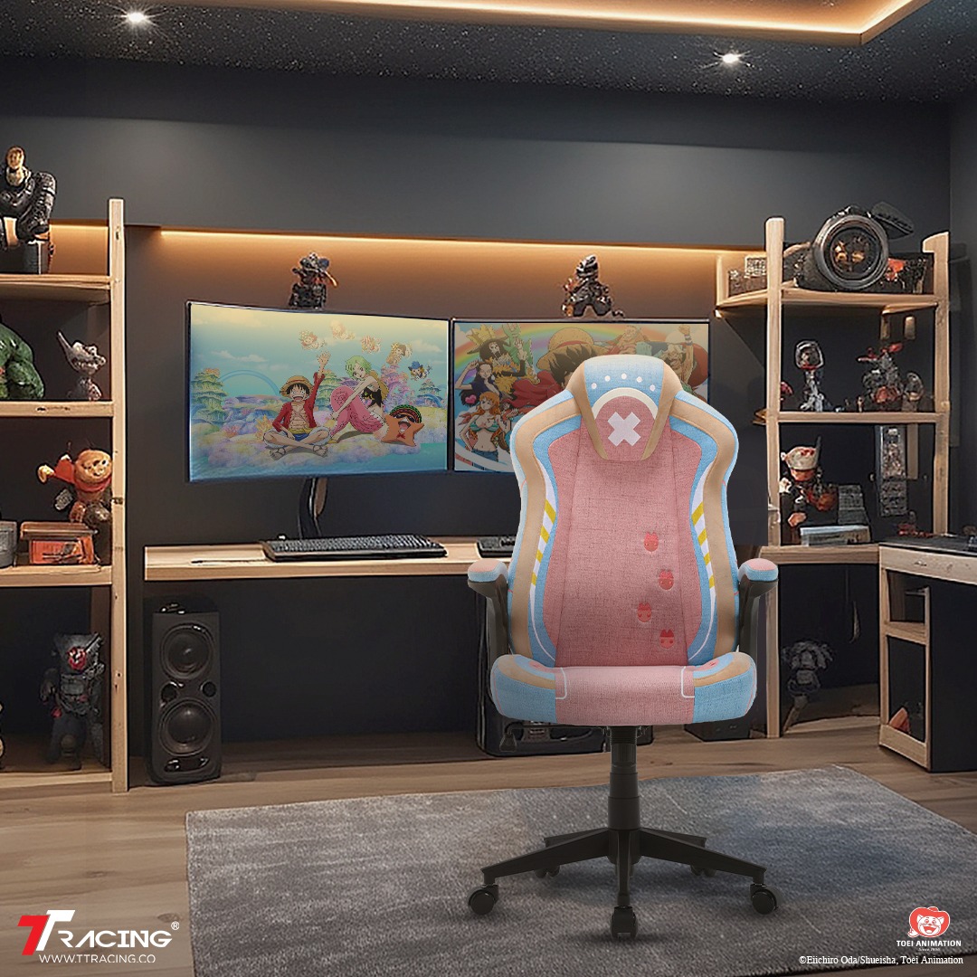เก้าอี้เกมมิ่ง TTRacing Duo V4 Chopper Edition _9